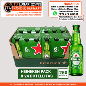 Cerveza Heineken pack x 24 botellas de 250ml Al Por Mayor