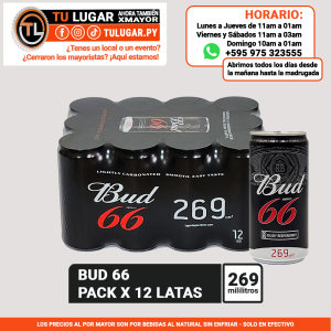 Cerveza Bud 66 Pack 12 latas 269ml - Por Mayor