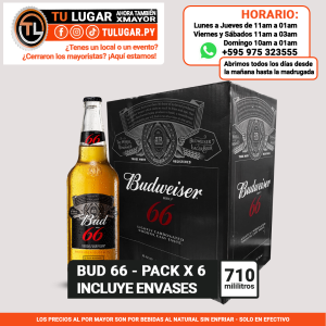 Cerveza Bud 66 caja x 6 botellas de 710ml | Al Por Mayor